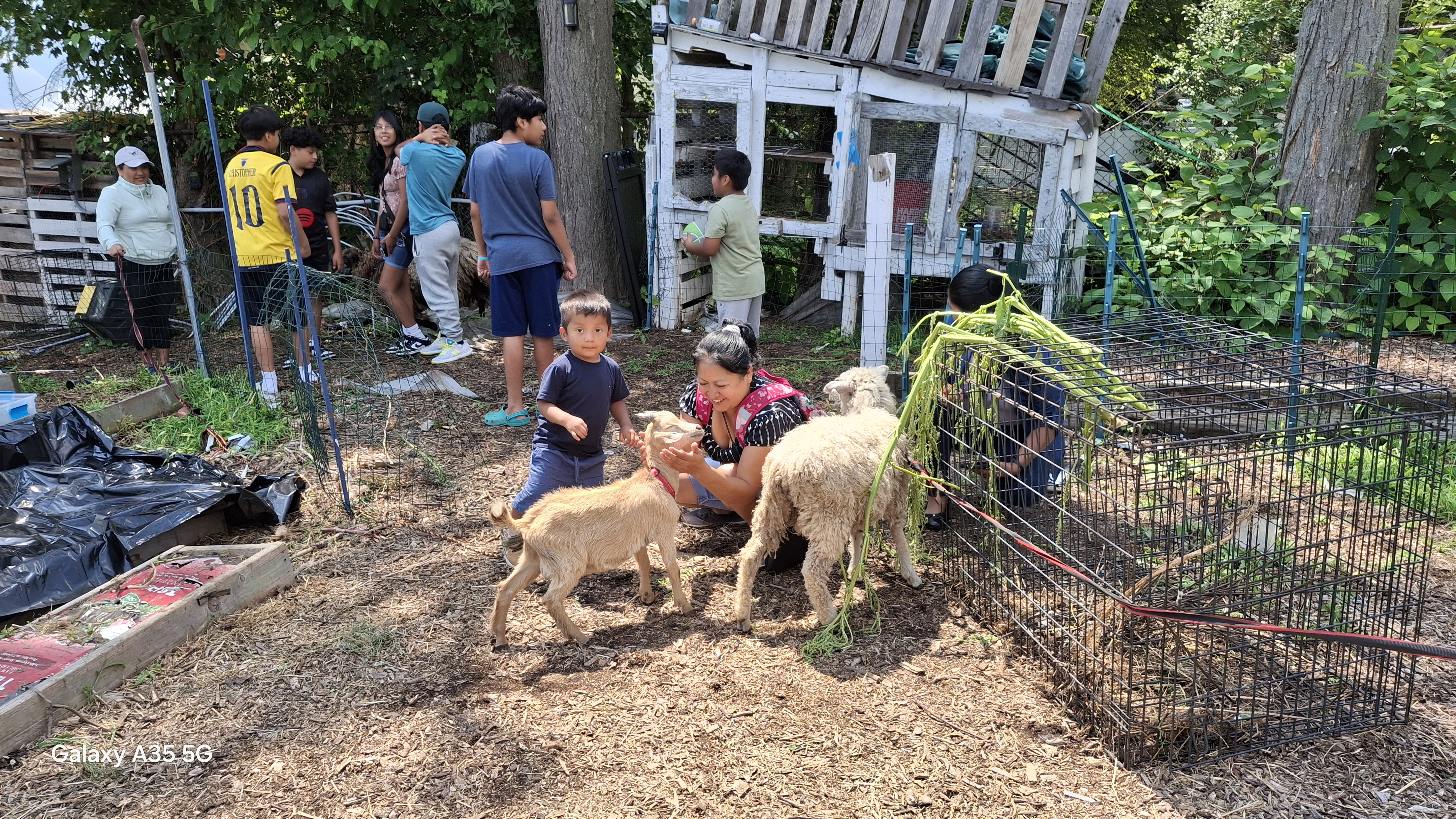 Meet Our Friendly Farm Animals at Farm Day 2026!